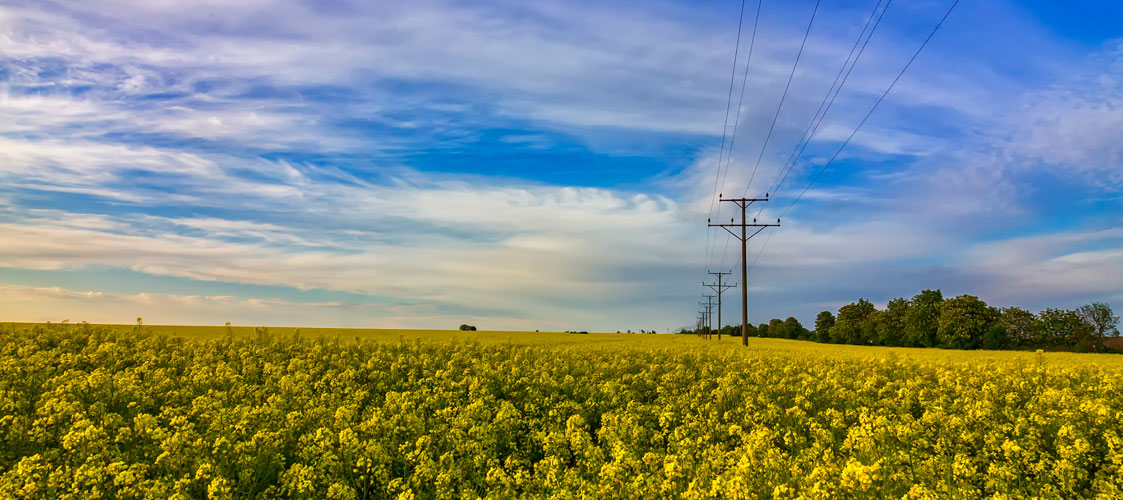 ERCOT SARA summer 2022 jpg